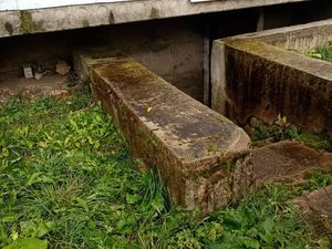 IMG_20201020_101610.jpg