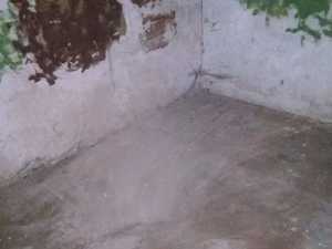 viber image 2020-04-08 , 09.16.44.jpg