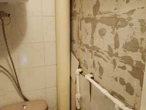 WhatsApp Image 2022-04-22 at 16.27.58.jpeg