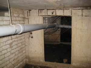 IMG_6387.JPG