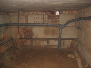 IMG_6445.JPG
