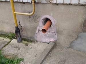 IMG_20200605_150600.jpg