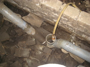 IMG_6379.JPG