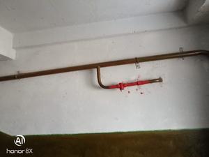 8bd06c9a-2607-42e6-a3fd-6d30cc4035a8.jpg