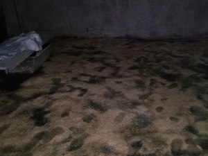 IMG_20200326_140611.jpg