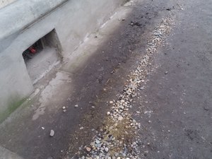 IMG_20200220_091800.jpg