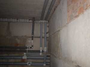 11e8cf40-2409-4da2-aff3-cd1c27112c96.jpg