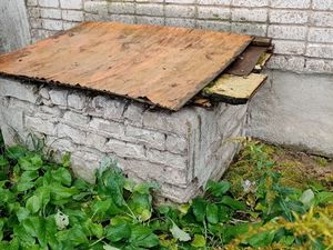 IMG_20201020_101655.jpg