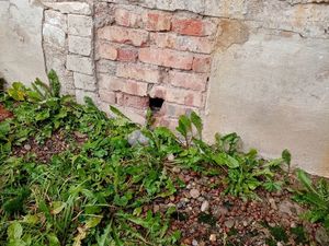 IMG_20201020_101100.jpg