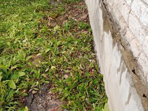 IMG_20201020_101043.jpg