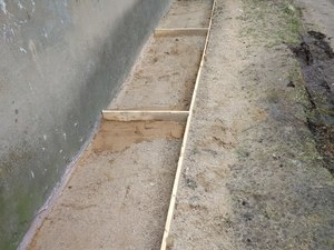 IMG_20200421_085748.jpg