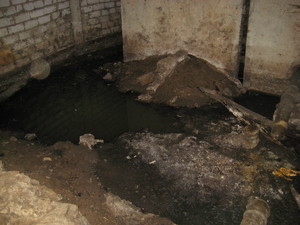 IMG_6350.JPG