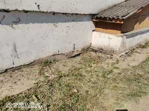 5bd7420a-16e6-47e6-aa37-2766bd9df4b6.jpg