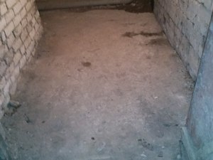 IMG_20200515_113214.jpg