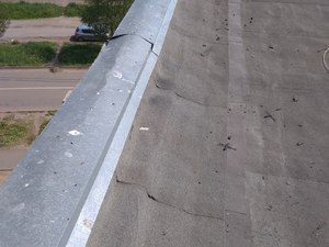 IMG_20190528_112245.jpg