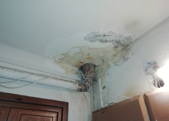 панф3а до.jpg