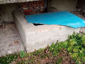 IMG_20201020_101036.jpg
