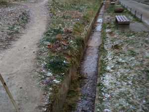 WhatsApp Image 2021-11-24 at 09.11.11.jpeg