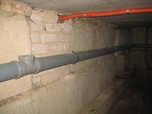 IMG_6447.JPG