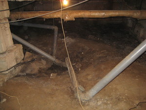 IMG_6422.JPG