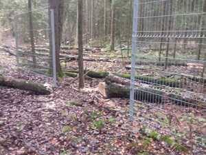 IMG-20201104-WA0026.jpg