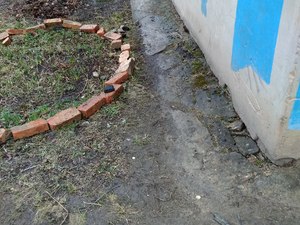 IMG_20200312_090617.jpg