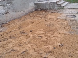 IMG_20200429_110746.jpg