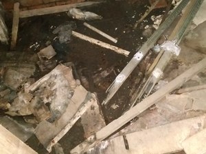 IMG_20210119_101352.jpg