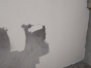 IMG_20200609_095633.jpg