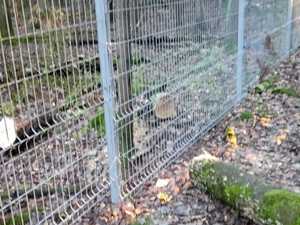 IMG-20201107-WA0006.jpg