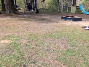 image8.jpeg