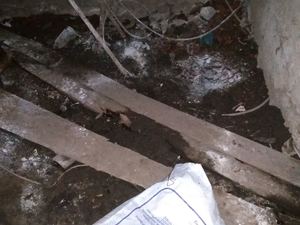 изображение_viber_2020-11-18_11-28-07.jpg