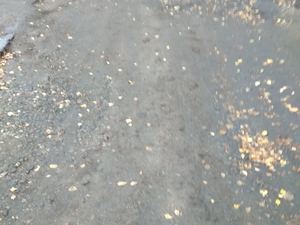 изображение_viber_2020-09-28_11-44-49.jpg