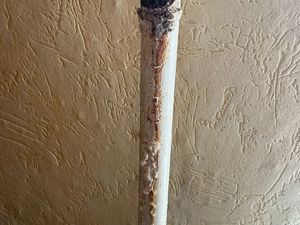 7c86f3d3-296c-4bd5-b138-7b64921d6e6a.jpg