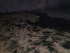 IMG_20200326_140616.jpg