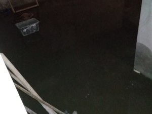IMG_20200326_085528.jpg