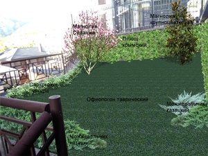 за домом 2_2.jpg