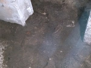 IMG_20210119_141209.jpg
