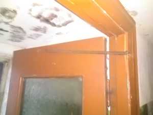 WhatsApp Image 2020-11-19 at 12.59.54 (1).jpeg
