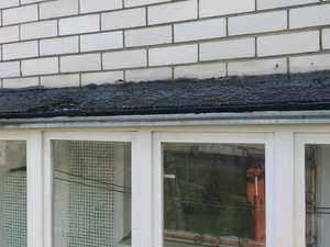 WhatsApp Image 2022-05-04 at 16.34.11 (1).jpeg