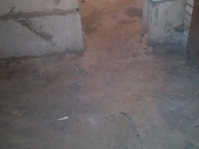 посл_20190220_103666.jpg