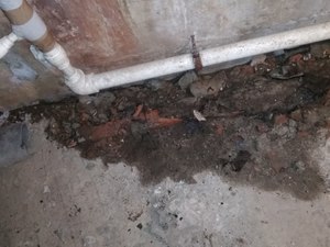 IMG_20210119_100119.jpg