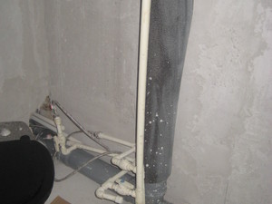 IMG_6497.JPG