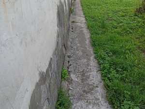 WhatsApp Image 2022-05-16 at 09.43.03.jpeg