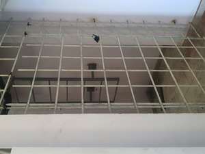 25122029-9.jpg 25122029-9.jpg