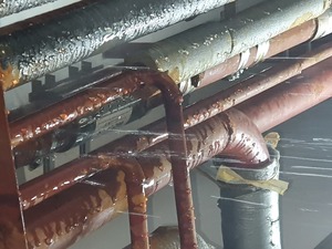 29122025-7-1.jpg 29122025-7-1.jpg