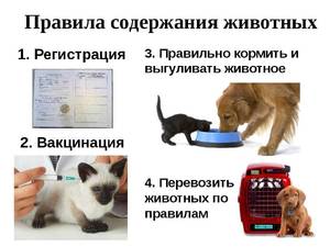 5d29930a30c62ad6750088700577ae71.jpeg