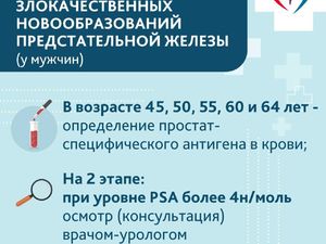 6.1.jpg