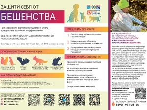 Бешенство.jpg